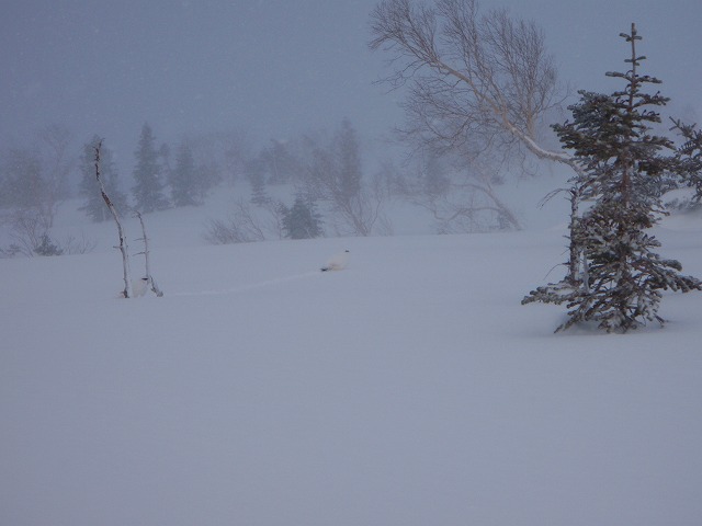 c0147398_23344046.jpg