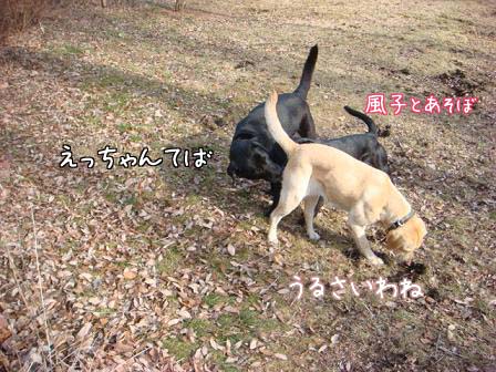 えっちゃんの声に奇跡が?_f0064906_1843573.jpg