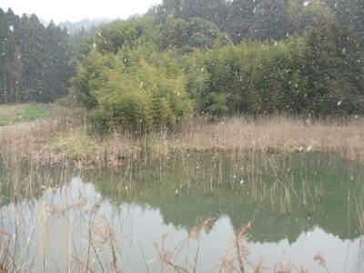 c0178009_12343891.jpg