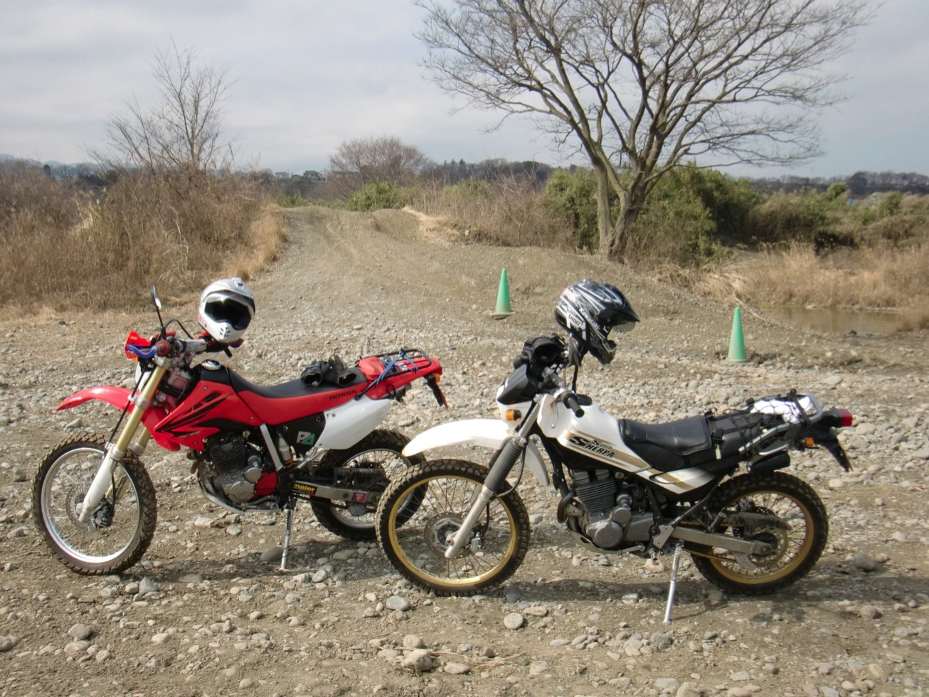 モトクロス?_f0141609_23533885.jpg