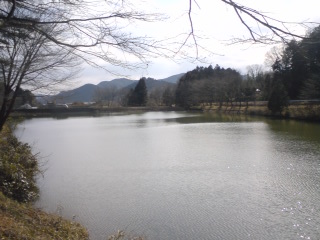 b0121015_22345196.jpg