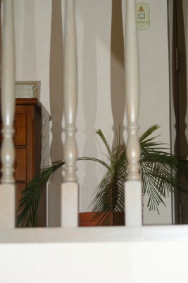 f0170524_1153028.jpg