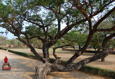e0068732_18105698.jpg