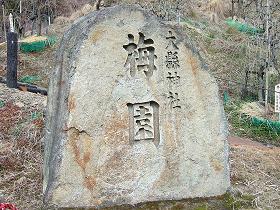 大縣神社　梅祭り_a0134734_1919578.jpg