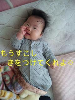 c0121141_17471569.jpg