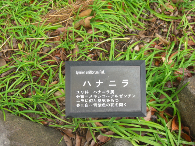 e0113842_22112670.jpg