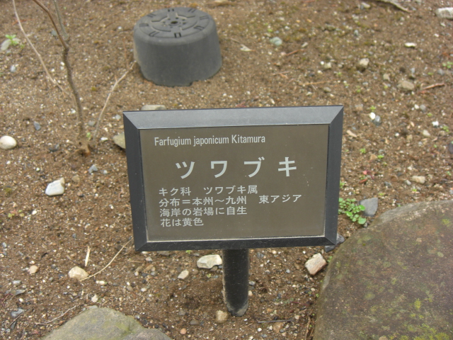 e0113842_2263554.jpg