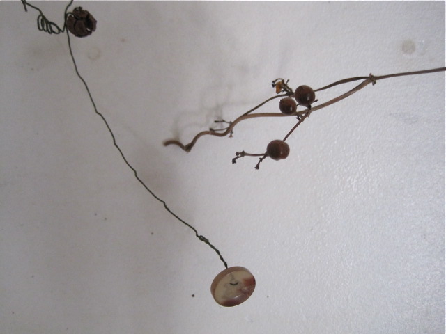 ボタンと木の実_d0101846_8173810.jpg