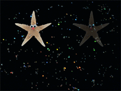 e0005548_20433962.gif