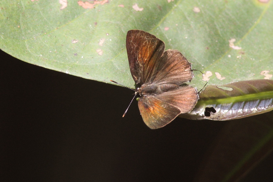 a0094850_17195514.jpg
