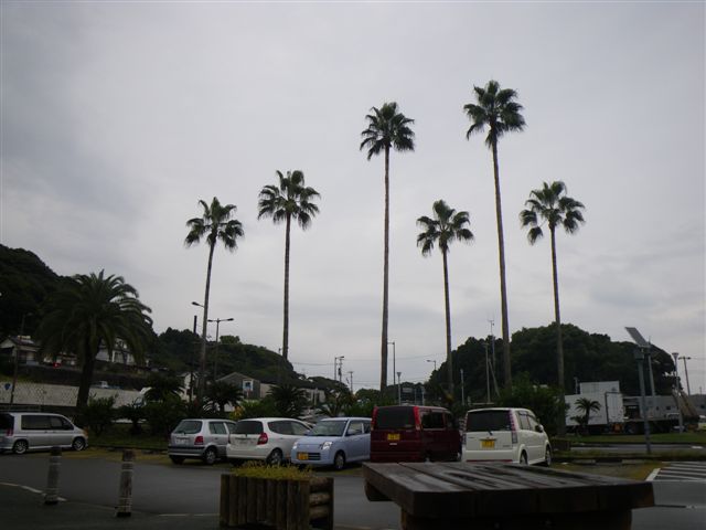 f0046250_1562043.jpg