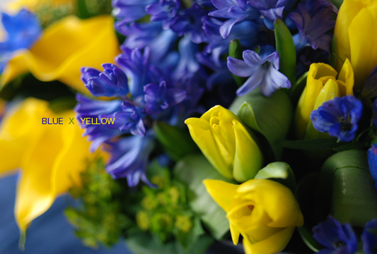 BLUE&YELLOW_a0086053_12304263.jpg