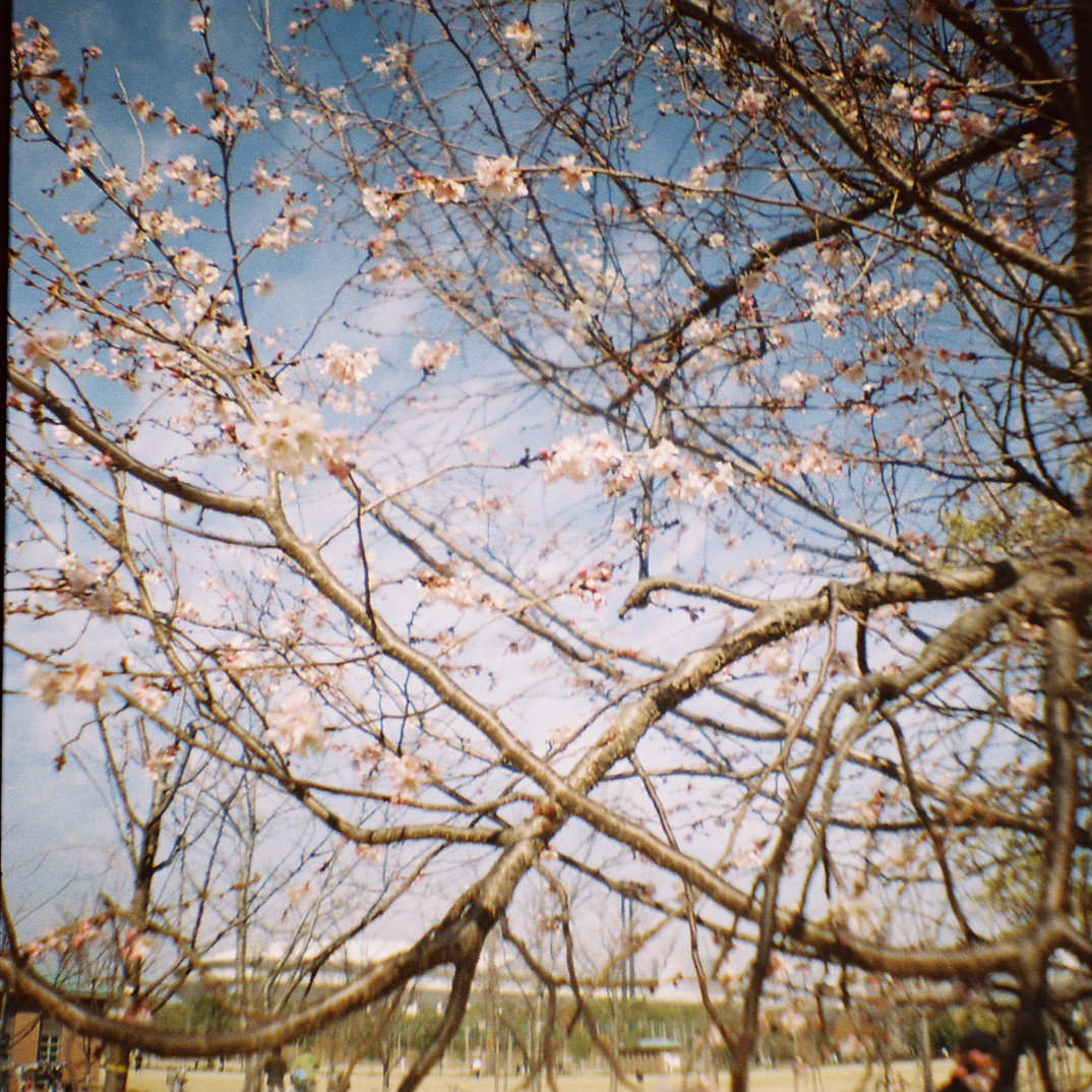 f0209159_20395136.jpg
