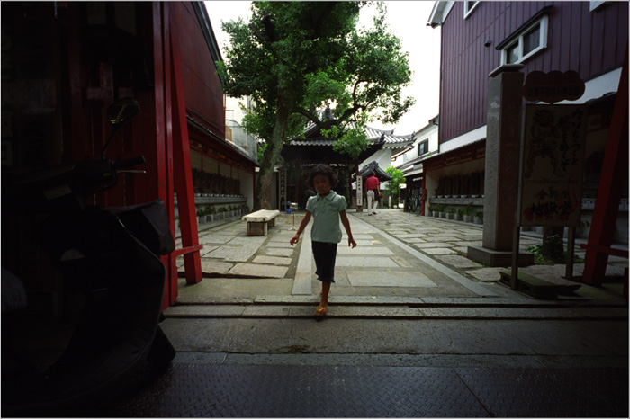 138.15　ホロゴンデイ41「2009年8月15日平野の下町人生また楽し」15　静かに危機到来？_c0168172_2374088.jpg