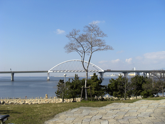 c0095679_1620847.gif