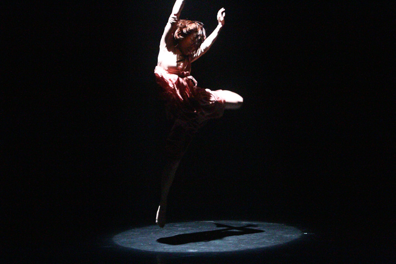 c0000587_12366.jpg