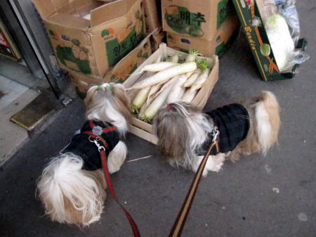 c0090198_6233781.jpg