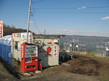 a0117599_1830252.jpg