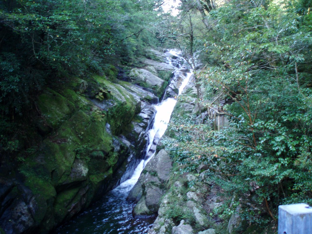 c0098304_2363124.jpg