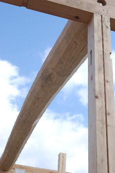 a0031005_11191425.jpg
