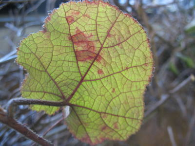 c0178009_20372314.jpg