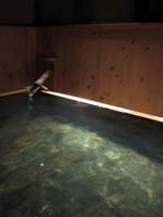 e0069615_2242984.jpg