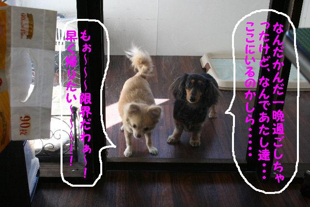 なぜここにいる・・・＆寂しいのはお互い様！！_b0130018_1723473.jpg