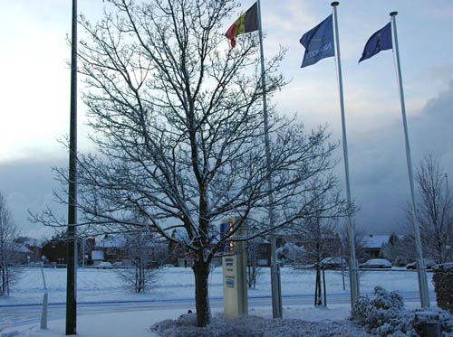 d0080118_2205325.jpg