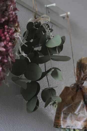 c0139023_591326.jpg
