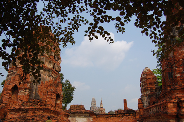 e0068732_21585930.jpg