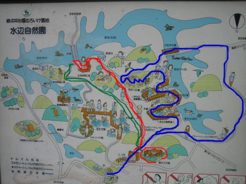 c0113733_1542067.jpg