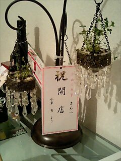 22.2.22臨時レッスンにゃー_d0152937_22585878.jpg