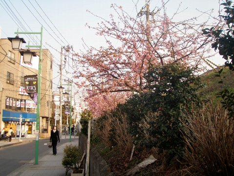 c0012640_659560.jpg