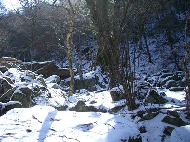 e0164643_20491980.jpg