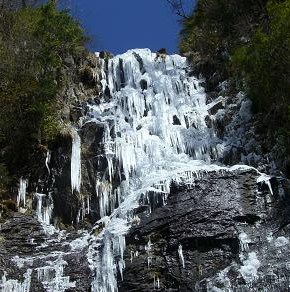 e0164643_210498.jpg