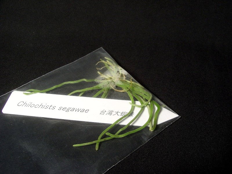 b0029648_11111494.jpg