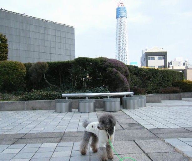 e0129656_21482240.jpg