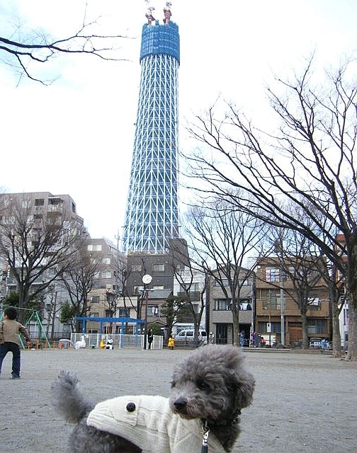 e0129656_21483554.jpg