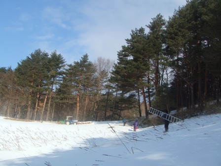 b0104157_13423071.jpg