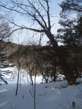 b0104157_13541170.jpg