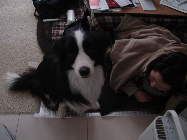 なんか気づいてしまった_e0003660_18422567.jpg