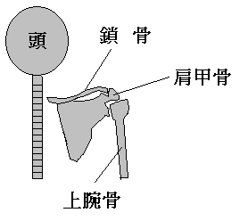 f0084561_16534763.gif