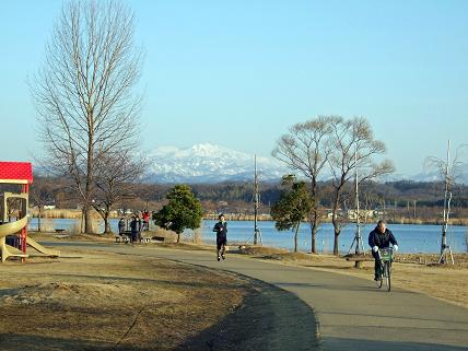 木場潟からの白山_f0103062_015040.jpg