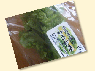 c0198976_849276.jpg