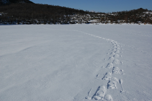 c0212083_12586.jpg