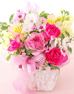 FLORA*2さくら祭り ワークショップ&ミニレッスンのお知らせ_a0115684_12156.jpg