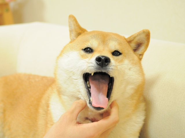 こんな時間になっちゃった!_a0126590_23331233.jpg
