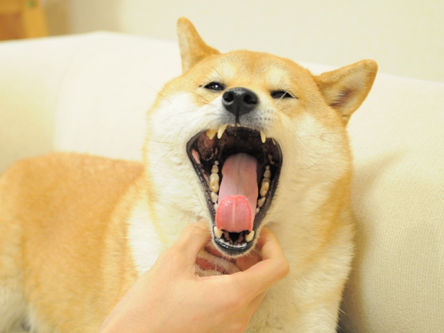 こんな時間になっちゃった!_a0126590_23334962.jpg