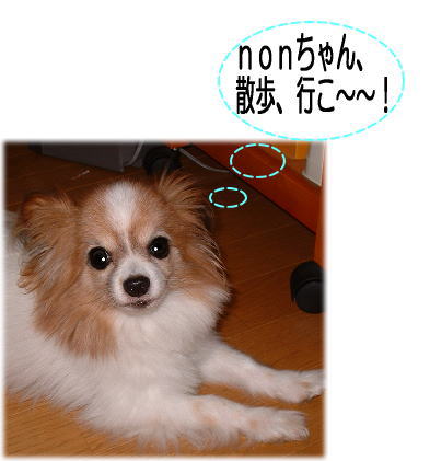 私信・・・_e0014000_16383485.jpg