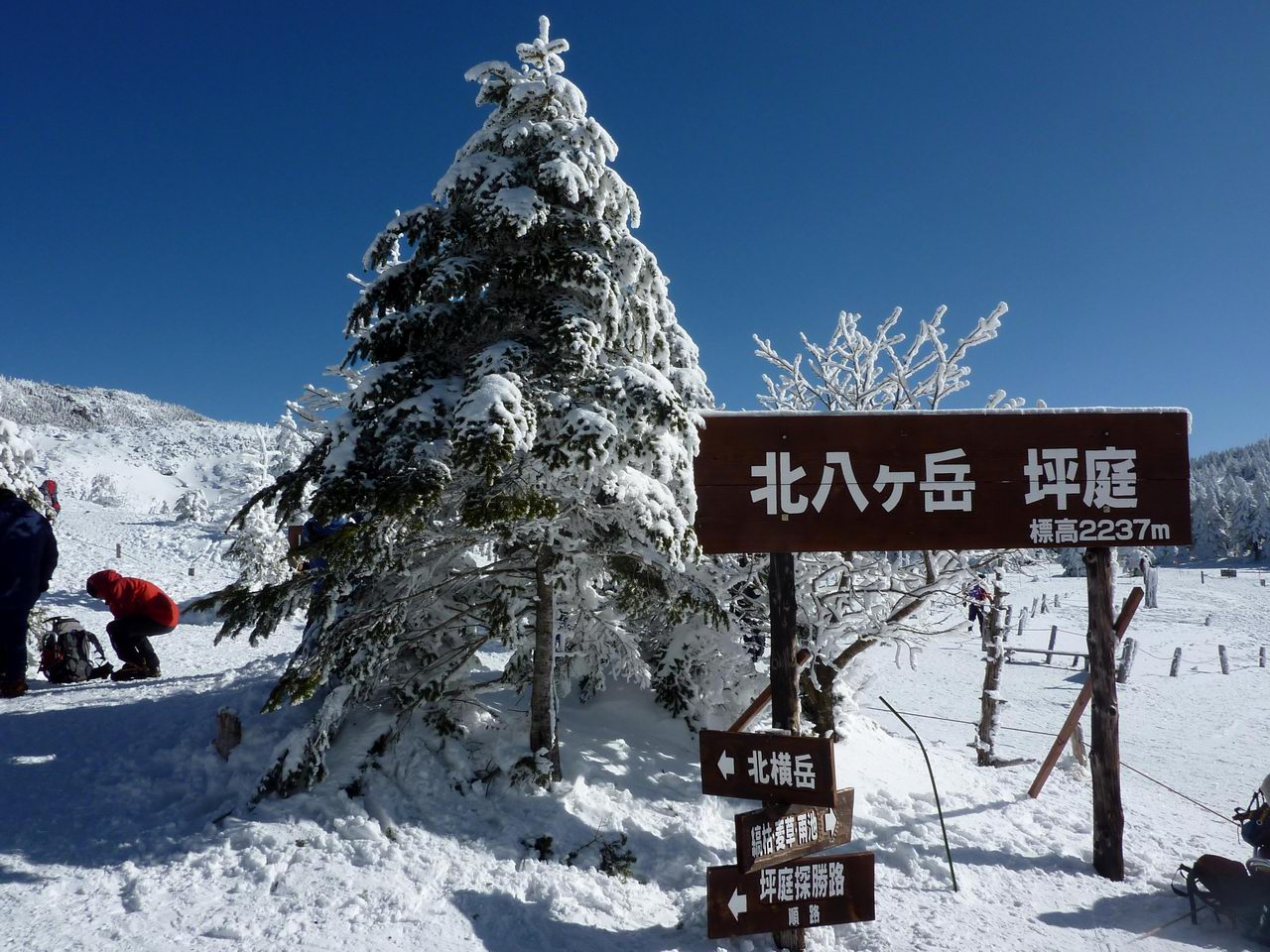 雪の豊富な山をめざして 北横岳 北八ヶ岳 山好き的日々 京都北山